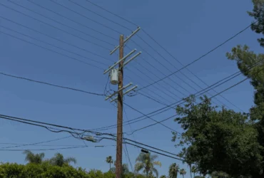Utility pole with trees around it