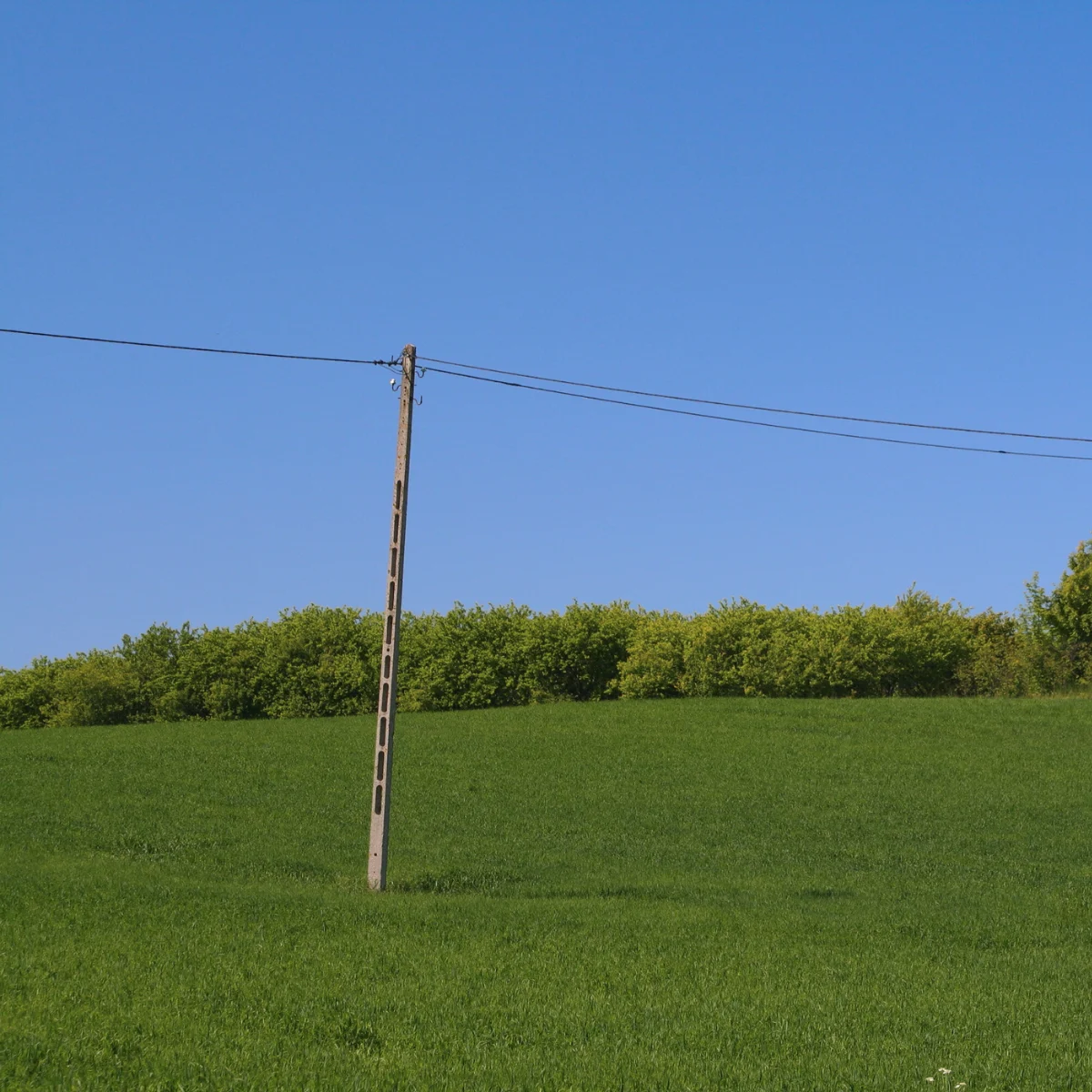 Pole in middle of field